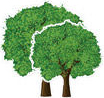 asus energy and planet saving